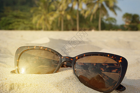 海滩假期和旅行的概念 沙滩上的棕色太阳镜 阳光 文字的地方 男人 自然图片