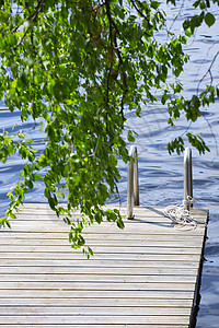 湖中木环行道 夏天 晴天 风景 自然 生态 早晨 环境图片