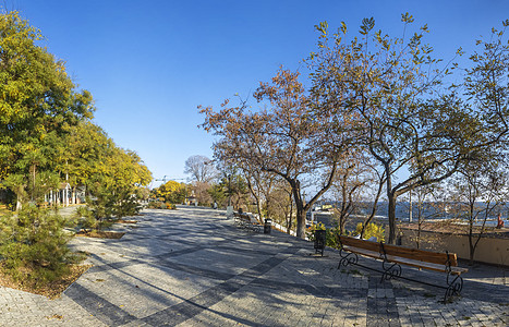 乌克兰兰格伦海滩的秋天风景 建筑学 欧洲 社论 长廊图片