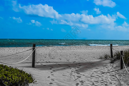 开往佛罗里达重要Biscayne海滩图片