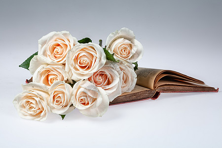 粉玫瑰花和书 罗莎 郁金香 雏菊 香气 绽放 丝绸 婚礼背景