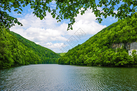 绿色森林景观 山林 山中的森林湖 湖景山林 荒野 春天图片