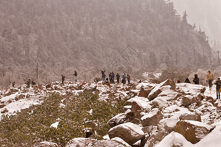 锡金零点西孟加拉邦 2018 年 11 月-游客前往户外玩耍 享受降雪后的第一场雪 在 Yumthang 山谷带来季节性魅力 为图片
