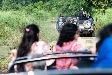 印度拉贾斯坦邦国家公园内景车辆 一群游客丛林野生动物园游客进入探索不同种类的野生动物 野生动物自然爱好者在假期参加野生动物园图片