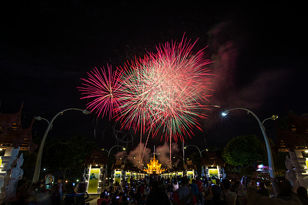 皇室2018年新年活动彩虹烟花 花园 派对 文化图片