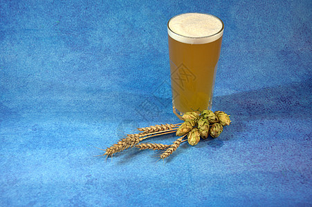 高杯小麦啤酒 跳和耳朵 在蓝色背景上图片