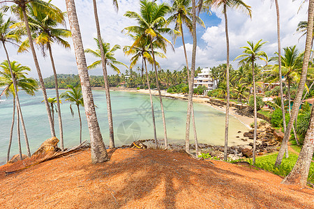 热带海滩 在斯里兰卡米里萨沙沙滩上有外来的棕榈树和木船 海岸 水图片