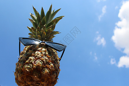 带墨镜的有趣的菠萝 甜点 夏天的天气 夏天背景 天空 乐趣 蓝色背景背景图片