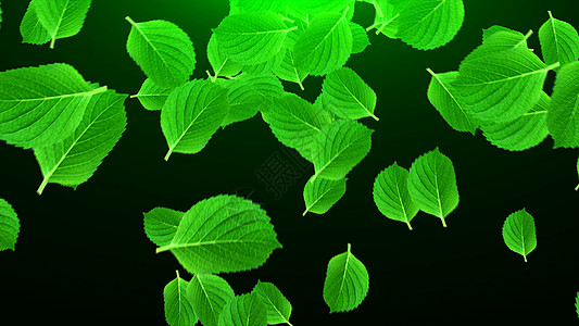 太空中的许多鲜绿叶子计算机生成了抽象背景 3D rende 粒子 无论如何图片