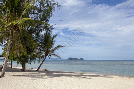 泰国热带热带海滩岛 泰国 图片