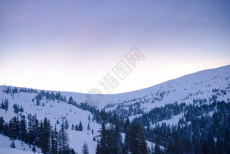 冬季山上美丽的日落 风景与雾中山丘上的白雪覆盖的法尔树 爬坡道 乌克兰图片