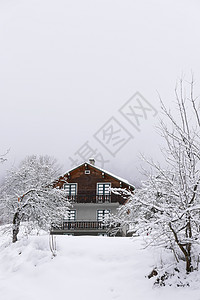 法国勃朗峰节假日 法国 雪 舵机 村庄 全景 寒冷的图片