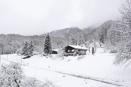 法国勃朗峰节假日 法国 全景 雪 村庄 小屋 寒冷的图片