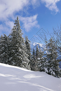 法国勃朗峰节假日 法国 小屋 全景 开胃菜 雪图片