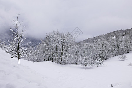 法国勃朗峰节假日 法国 寒冷的 全景 村庄图片