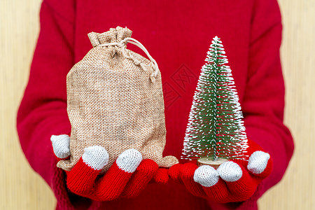 女性手中的圣诞礼物袋 红色编织手套和丝巾 喜庆的 美丽的图片