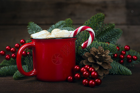 可可红杯加棉花糖 热的 圣诞节 云杉 糖果 冷杉图片
