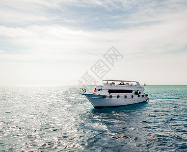 埃及红海白色游白游白帆旅游船 礁 珊瑚礁 蓝色的水图片