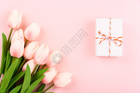 妇女节快乐 母亲节概念 顶级观光天礼 郁金香图片