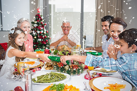 圣诞节晚宴在餐桌上幸福的一家人 小玩意儿 假期 祖父母图片
