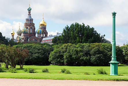 圣彼得堡的火星公园和鲜血大教堂田地 花园 夏天图片