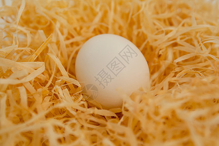 蜂巢中的白东方蛋 节日 天主教徒 惊喜 美丽的 假期图片