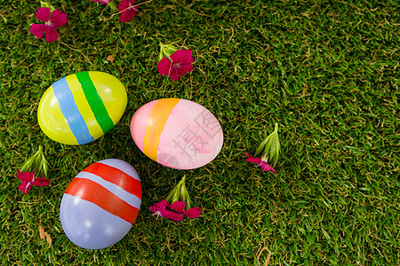 草上涂着复活节彩蛋 美丽的 脆弱性 沟通 假期 盛宴 挑战图片