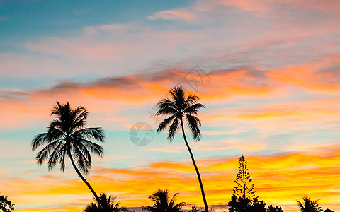 法属波利尼西亚热带日落 塞舌尔 美丽的 海 水 天堂图片