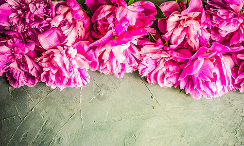 夏花与小马 粉色的 女士 美丽 自然 花瓶 浪漫的 植物群图片