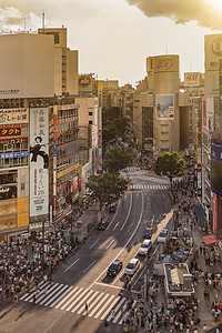 日本街景涉谷交叉交界的空中观景 省会城市 建筑学 路灯 汽车 日本背景