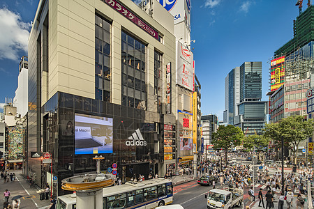 Shibuya车站前的涉谷交叉交界处 中央大街背景图片