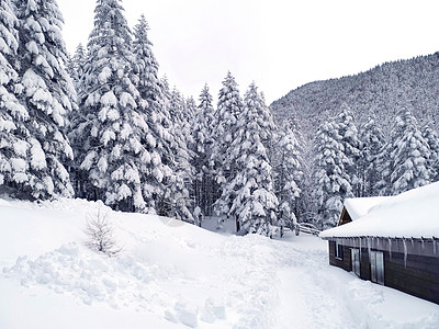 木屋 日本山上有雪的树木 天 森林 爬坡道 阿卡图片