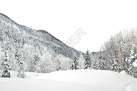 日本Ysusugatake山的自然雪山和树 冻结的 旅游图片