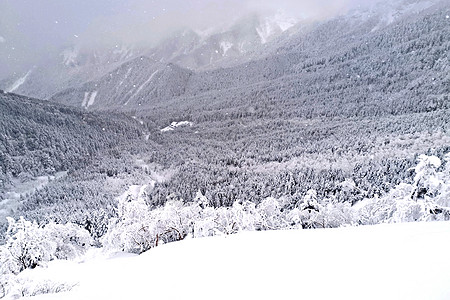 日本Ysusugatake山的自然雪山和树 亚洲 旅行图片