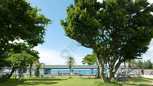 桥附近的日本冲绳海滩 绿色的 风景优美的 自然图片