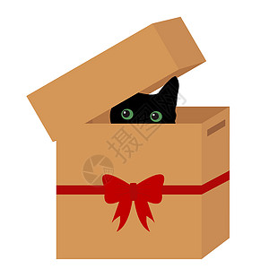 猫眼睛黑猫在装有红丝带的盒子里背景