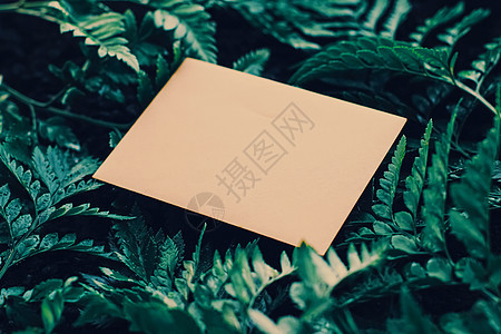 空信封和天然绿叶 纸牌作为背黑锅 笔记 一致背景图片