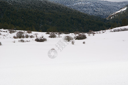 白雪和寒冷的山区森林景观 冬天 假期 运动 大理石图片