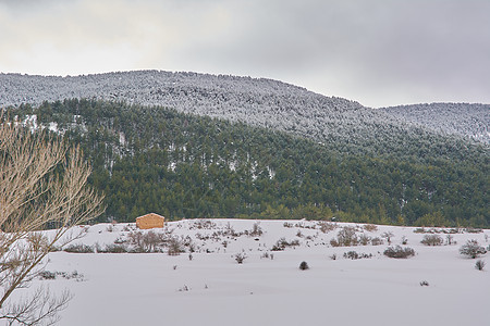 白雪和寒冷的山区森林景观 季节 运动 冬天 山腰图片