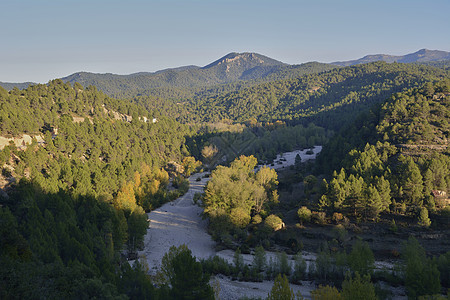 青山之间狭小的河流 木头 流动的 瀑布 新鲜 溪流图片