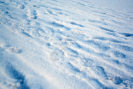 雪上脚印 旅行 晴天 寒冷的 下雪的 假期 天气 脚步声 蓝色的图片