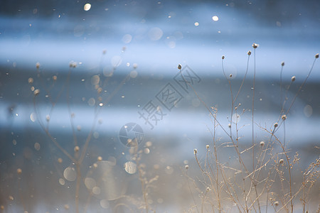 雪 天气 雾凇 圣诞节 闪光 天空 冻结 一月 云 晴天图片