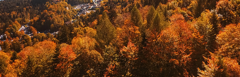 欧洲阿尔卑斯山的美丽性质 秋季高山 湖泊和村庄的风景 旅行和旅游目的地等 树木 山脉图片