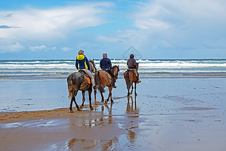 在葡萄牙阿尔加夫的卡拉帕泰拉海滩骑马 哺乳动物图片