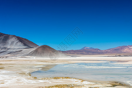 智利阿塔卡马沙漠 萨拉尔阿瓜斯卡连特斯 图亚科托湖 南美洲 假期 美国图片