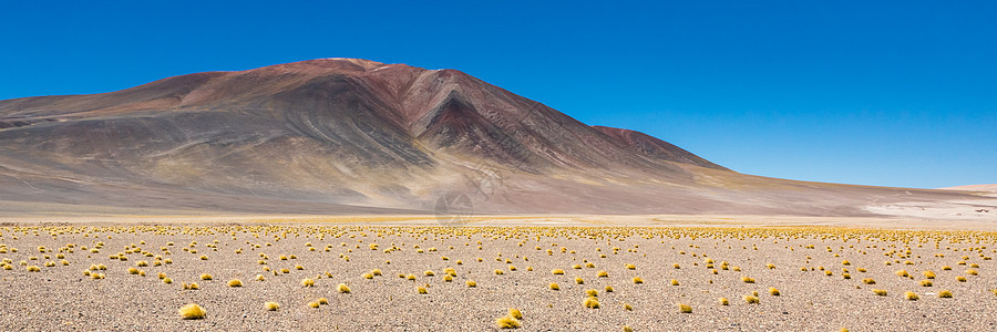 智利阿塔卡马沙漠 萨拉尔阿瓜斯卡连特斯 图亚科托湖 南美洲 泻湖 干燥图片