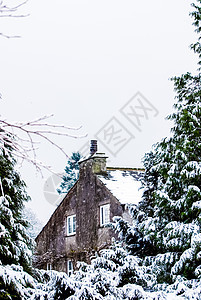 位于英国坎布里亚湖区雪林中的房子图片