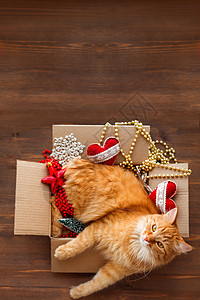 可爱的姜猫躺在盒子里 有圣诞和新年装饰品 在木质背景上 毛绒宠物在那里睡觉 放文字的地方图片