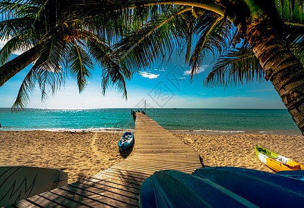 美丽的热带天堂海滩度假胜地 椰子树 自然 海岸图片