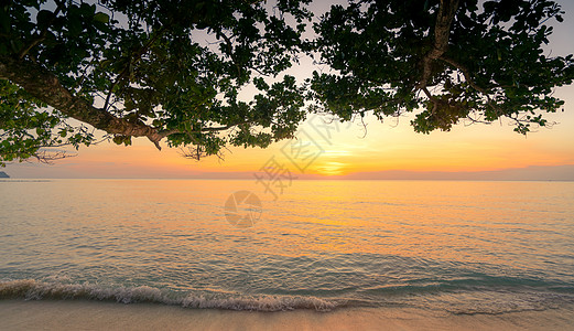 热带天堂海滩的美丽日落 从下方查看 阳光 晚上图片